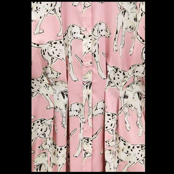 ZARA DALMATIAN DOG PRINTED LONG SHIRT - Picture 11 of 13